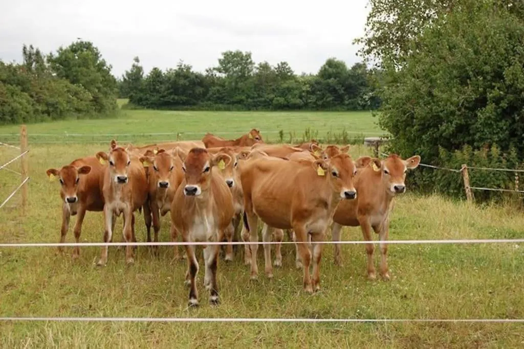 Hébergement de vacances Gite A La Ferme, Au Coeur Du Mene Laurenan