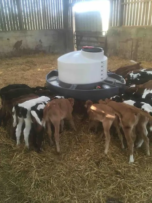 Hébergement de vacances Gite A La Ferme, Au Coeur Du Mene Laurenan France